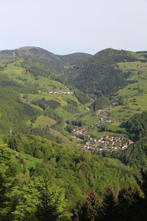 Hotel Kirchbuehl Im Schwarzwald Hotel Schönau im Schwarzwald Exterior photo